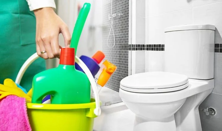 Cleaners and detergents for bathrooms and toilets (30)