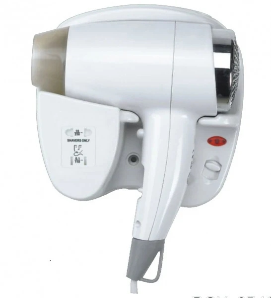 Personal hair dryer 1001